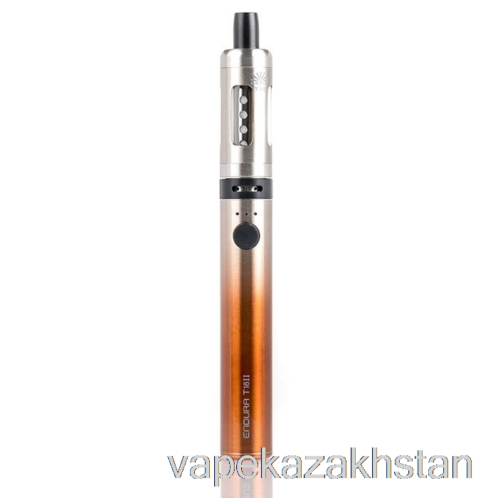 Vape Kazakhstan Innokin Endura T18 II Starter Kit Coffee
